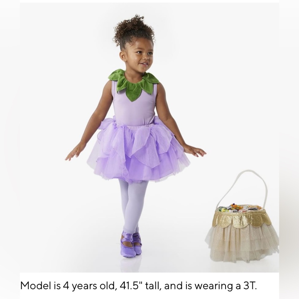 Pottery Barn Kids Purple Flower Costume